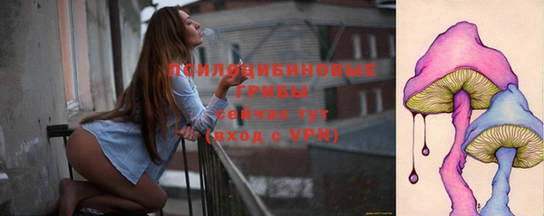 гашик Алексеевка