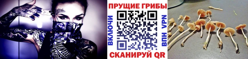 хочу наркоту  Пугачёв  МЕГА как войти  Галлюциногенные грибы ЛСД 